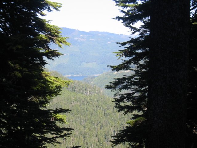 beautifulview.jpg