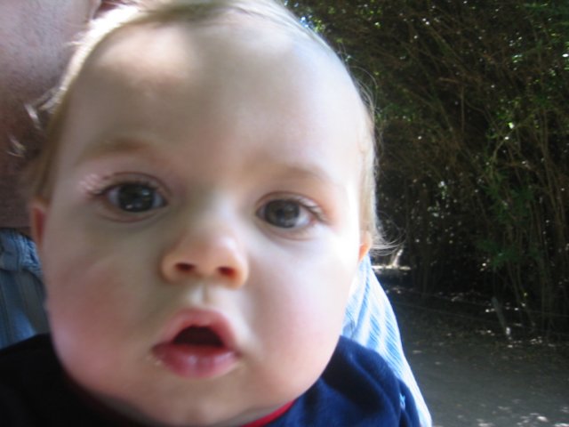 chubbycheeksatthezoo.jpg