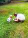 mummyandliamlookforafourleafedclover_small.jpg