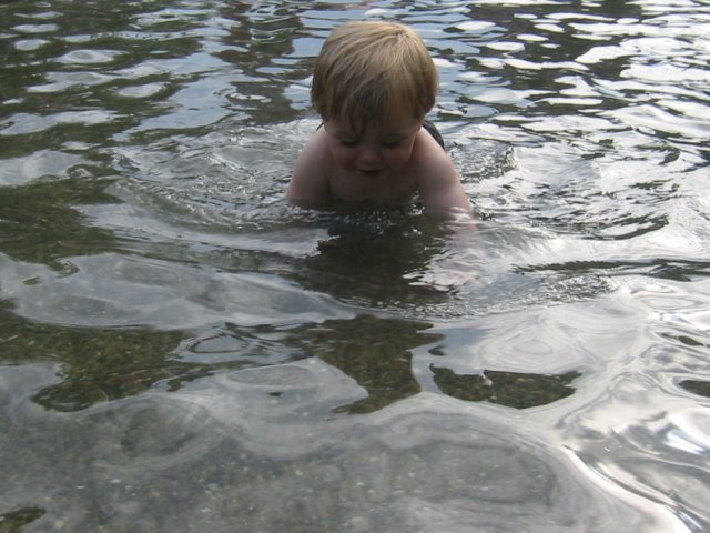 thegreenlakemonsternoitsthepea.jpg