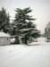 christmascardscene_small.jpg