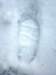 lilisfootprint_small.jpg