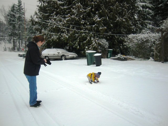 moresnowjanuary16th.jpg