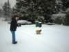 moresnowjanuary16th_small.jpg