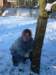 mummyinthesnow_small.jpg