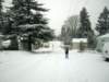 wewalkedtostarbucksinthesnow_small.jpg