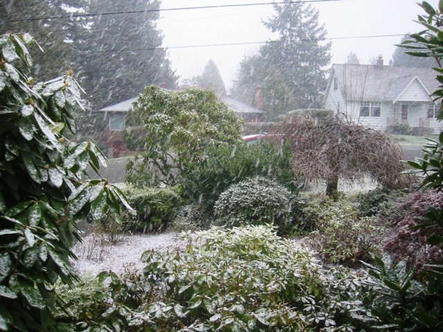 december1st2007itsofficiallywinter.jpg