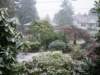 december1st2007itsofficiallywinter_small.jpg