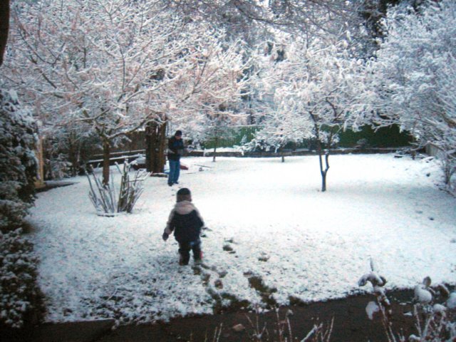 footprintsinthesnow.jpg