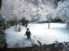 footprintsinthesnow_small.jpg