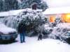 lookingforagoodpatchtomakeasnowball_small.jpg
