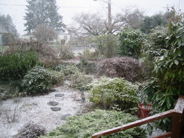 snowyfrontyard.jpg