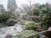 snowyfrontyard_small.jpg