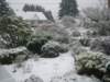 whitechristmas_small.jpg
