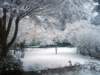 winterwonderland_small.jpg
